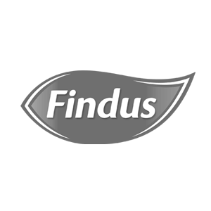 logo findus